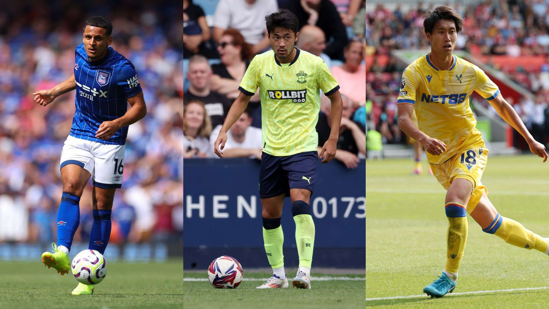 给观众带来 给观众带来