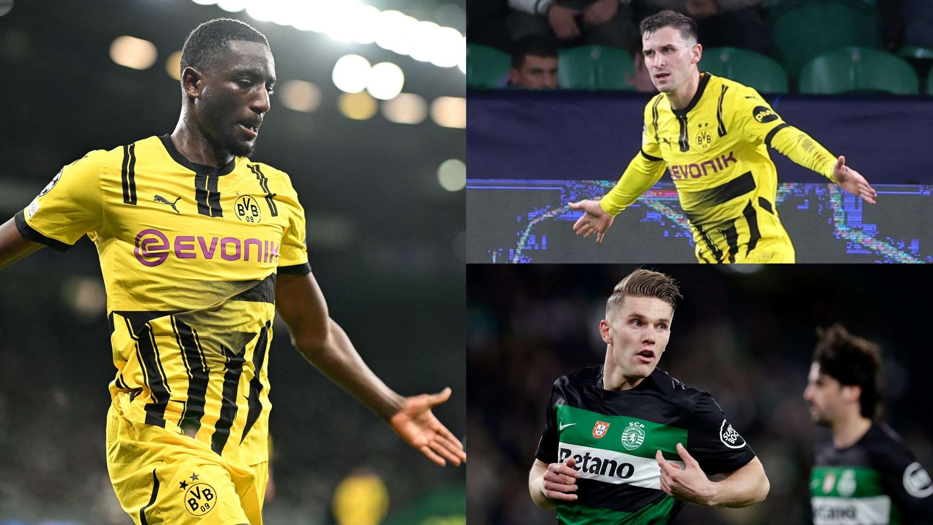 见证每一场 见证每一场