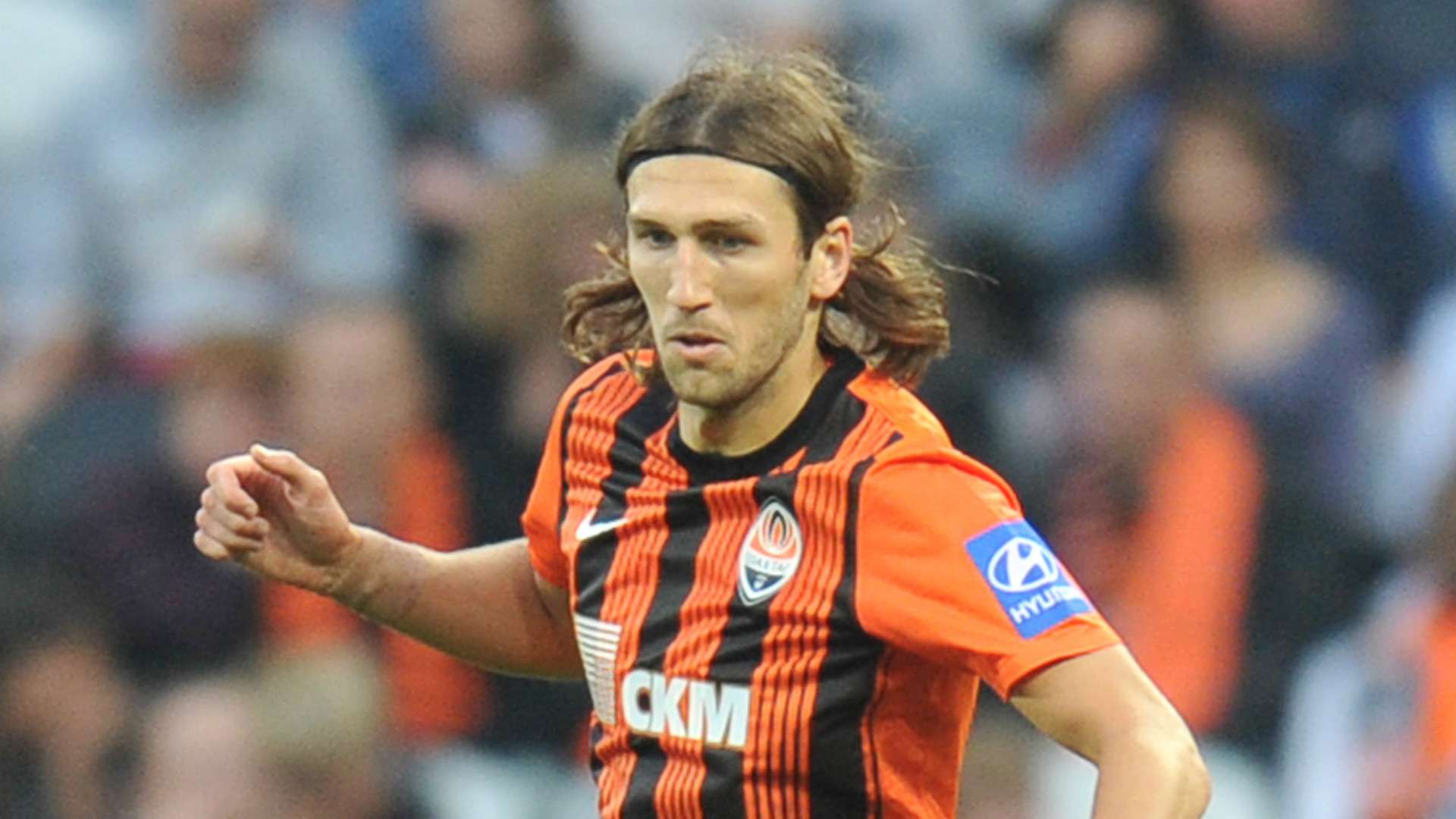 成功摘得金 成功摘得金